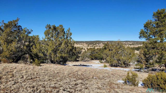 INDIAN MAIDEN COURT, QUEMADO NM 87829, QUEMADO, NM 87829, photo 5 of 12