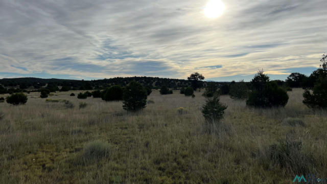 HORSESHOE CIRCLE, QUEMADO NM 87829, QUEMADO, NM 87829, photo 2 of 15