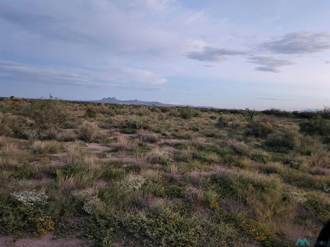 00 CAYOCA RD SE ROAD, DEMING, NM 88030, photo 1