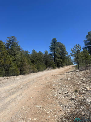 32 HUNGRY HORSE LOOP, TIMBERON, NM 88350, photo 3 of 8