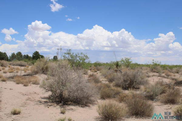 TOMORROW LAND ESTATES, DEMING NM 88030, DEMING, NM 88030 - Image 1