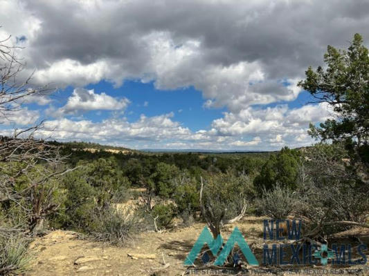 353 SHADE TREE FLAT, RAMAH, NM 87321 - Image 1