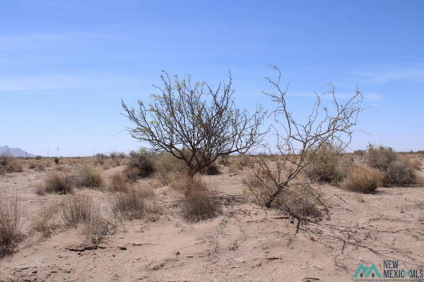 YUCCA RD SW, DEMING NM 88030, DEMING, NM 88030, photo 2 of 11