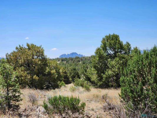 86 PONDEROSA RANCHES PATH, PIE TOWN, NM 87827, photo 3 of 25