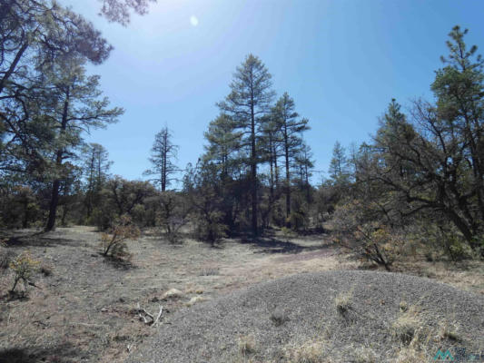 25 FOREST 858 ROAD, SILVER CITY, NM 88061, photo 3 of 37