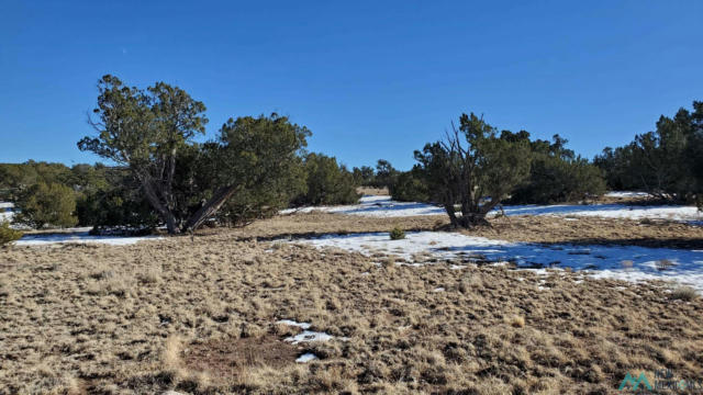 INDIAN MAIDEN COURT, QUEMADO NM 87829, QUEMADO, NM 87829, photo 4 of 12