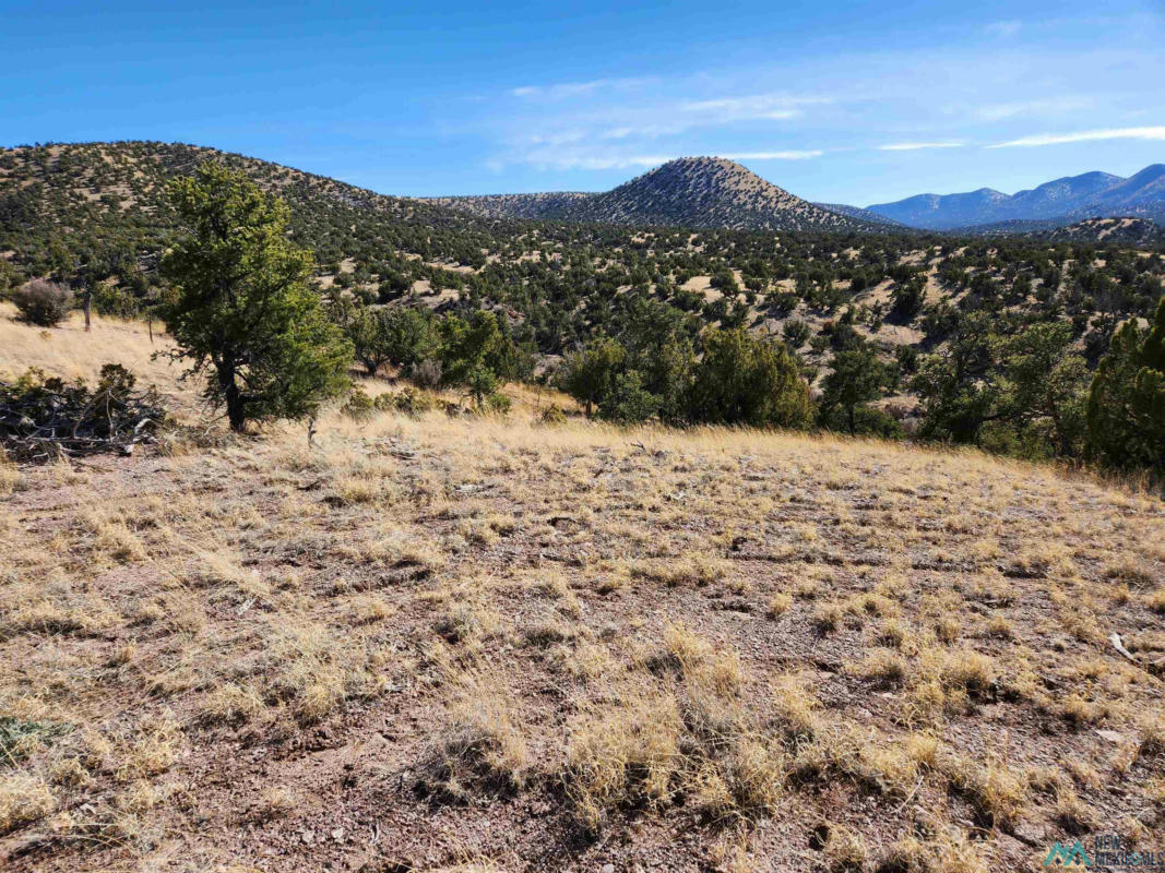0000 TBD NM 169 STATE ROAD, MAGDALENA, NM 87825, photo 1 of 16