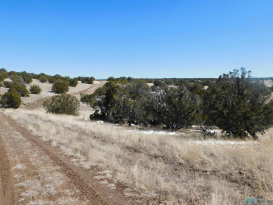 69 BRONCO BLVD, QUEMADO, NM 87829, photo 4 of 18