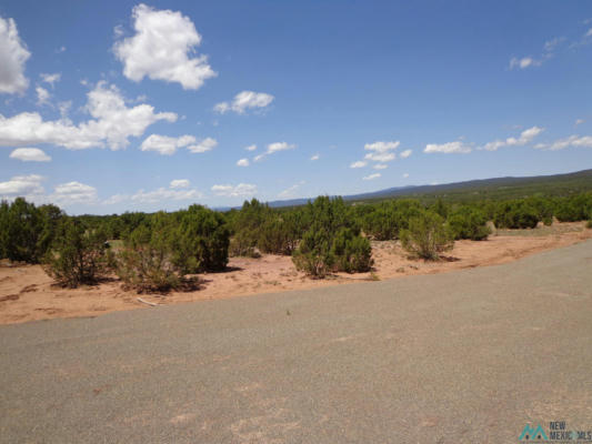 TR 1A CAMINO DEL SOL ROAD, BERNAL, NM 87569 - Image 1