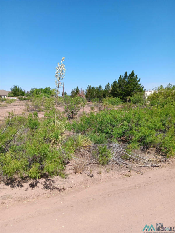 0000 MAJESTIC VIEW RD STREET, DEMING, NM 88030, photo 1