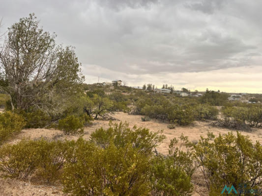LOT 825 LAKESHORE HIGHLANDS, ELEPHANT BUTTE, NM 87935, photo 4 of 4