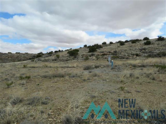 LOT 1 CHAMPAGNE HILLS ROAD, ELEPHANT BUTTE, NM 87935, photo 5 of 21