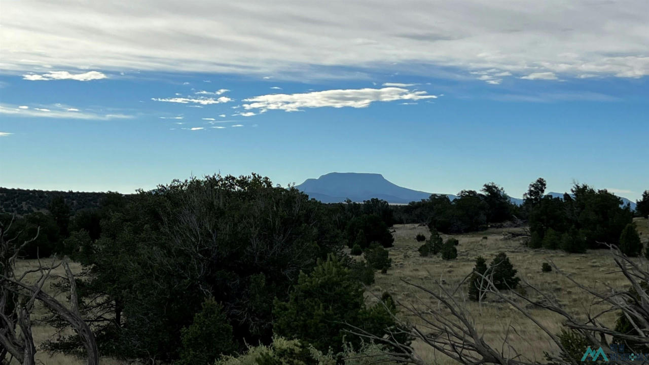 HORSESHOE CIRCLE, QUEMADO NM 87829, QUEMADO, NM 87829, photo 1 of 15