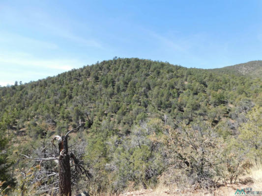 LOT 18 RIVERS WEST ROAD, RESERVE, NM 87830, photo 3 of 15