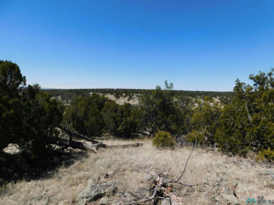 LOT 171 HOPI DRIVE, QUEMADO, NM 87829, photo 2 of 18