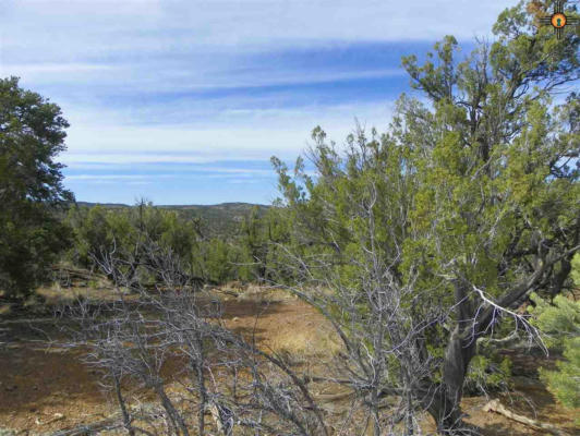 0000 1 GOAT RANCH ROAD, PIE TOWN, NM 87827, photo 4 of 19