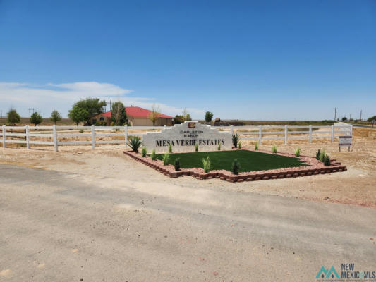 LOT 13B N TAGWOOD LANE, CARLSBAD, NM 88220, photo 2 of 10