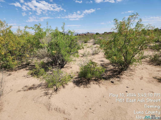 00 COLUMBUS HWY HIGHWAY, DEMING, NM 88030, photo 2 of 3