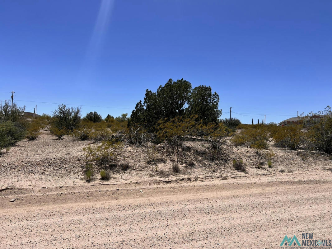 0000 TBD PINTO TRAIL TRAIL, ELEPHANT BUTTE, NM 87935, photo 1 of 8