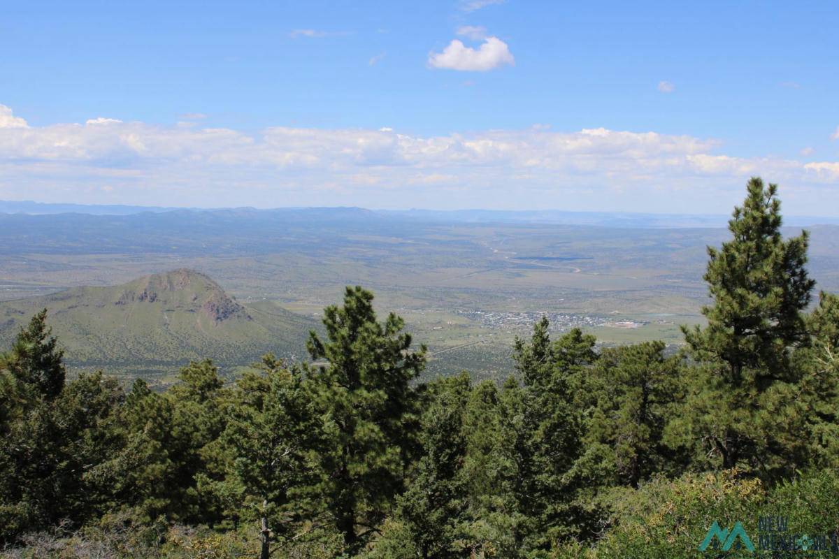 MAGDALENA MT MAGDALENA MOUNTAIN TOP, MAGDALENA, NM 87825, photo 1 of 12