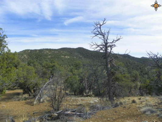 0000 1 GOAT RANCH ROAD, PIE TOWN, NM 87827, photo 2 of 19