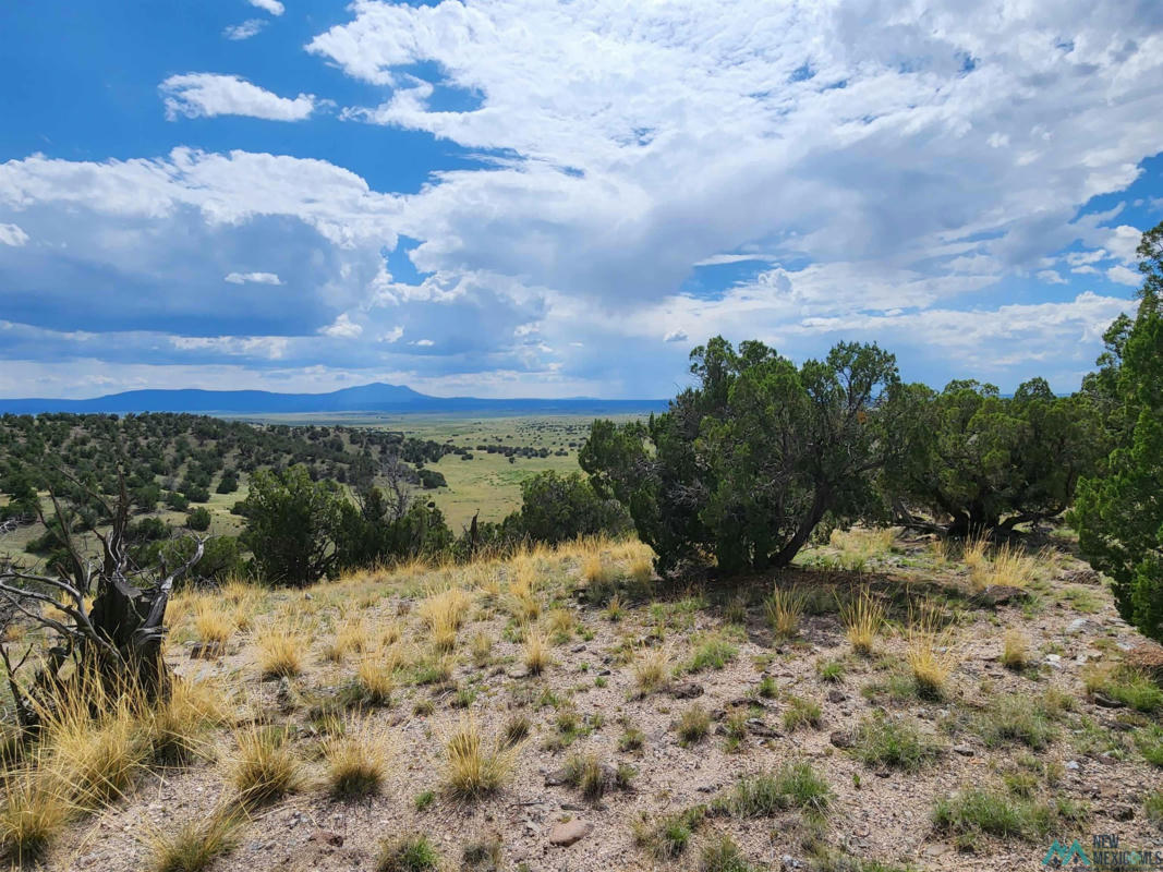 12 FILLY CIR, QUEMADO, NM 87829, photo 1 of 20