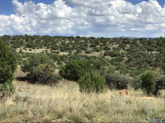 3 LOT 15 HIGHWAY, SILVER CITY, NM 88061 - Image 1