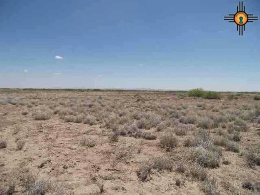 NE OF COLUMBUS, COLUMBUS NM 88029, COLUMBUS, NM 88029, photo 2 of 5