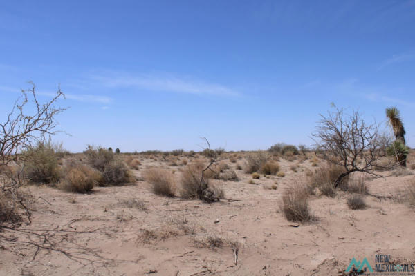 YUCCA RD SW, DEMING NM 88030, DEMING, NM 88030, photo 3 of 11