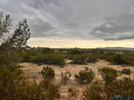LOT 825 LAKESHORE HIGHLANDS, ELEPHANT BUTTE, NM 87935, photo 3 of 4