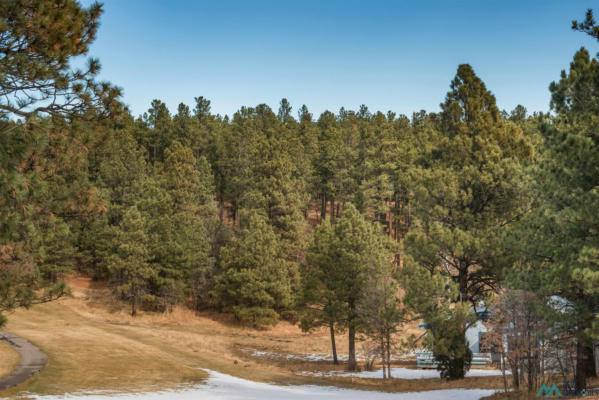 LOT 20 AVENIDA DE SECURIDAD AVENUE, ROCIADA, NM 87742, photo 3 of 6