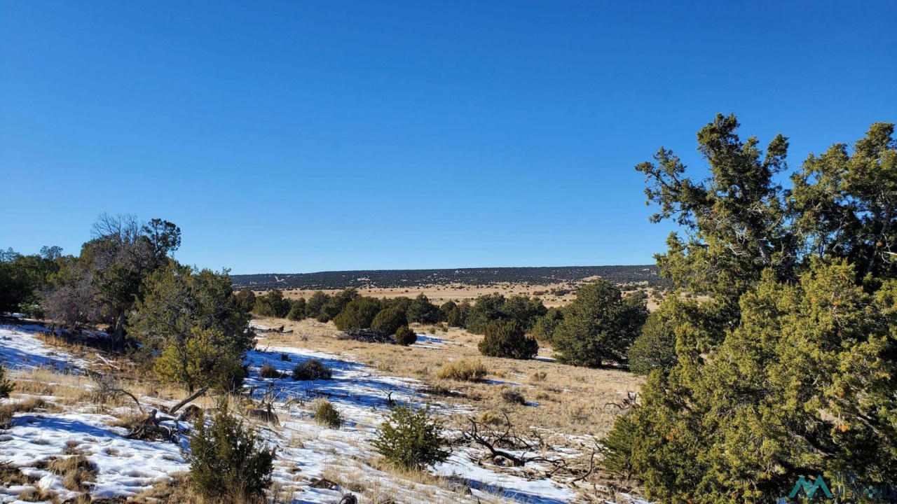 INDIAN MAIDEN COURT, QUEMADO NM 87829, QUEMADO, NM 87829, photo 1 of 12