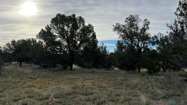 HORSESHOE CIRCLE, QUEMADO NM 87829, QUEMADO, NM 87829, photo 4 of 15