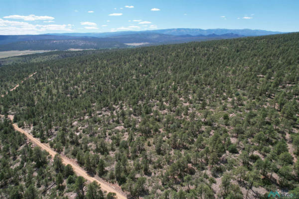 LOT M & G LA RAMA ROAD CR013, GOLONDRINAS, NM 87712 - Image 1