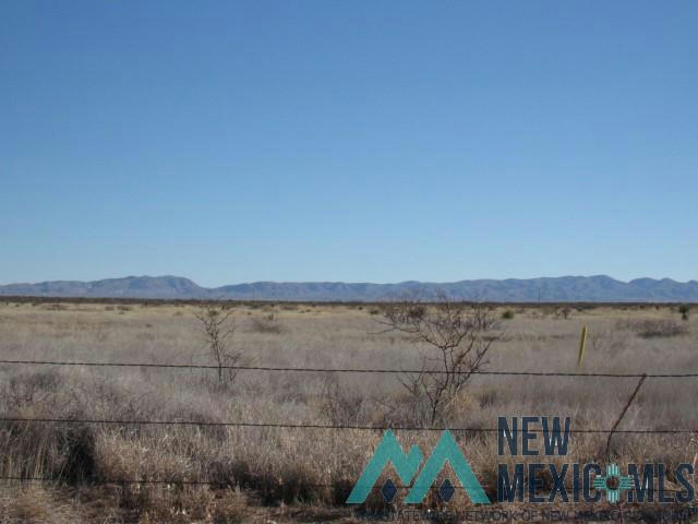 40 ACRES IN PA GRANT #33, ENGLE, NM 87935, photo 1 of 12