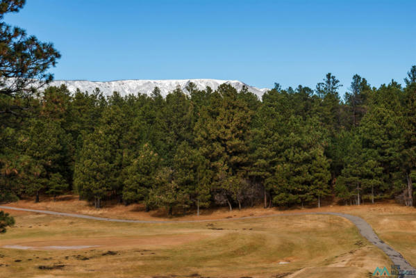 LOT 9 CALLE RETIRO STREET, ROCIADA, NM 87742, photo 2 of 6