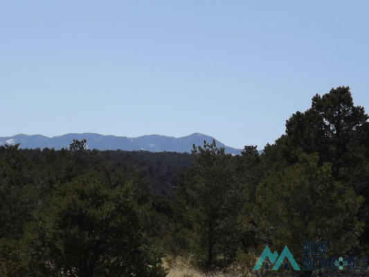 918 LA MIGA CANYON RD, ESTANCIA, NM 87016, photo 4 of 4