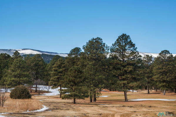 LOT 89 FOREST DRIVE WEST DRIVE, ROCIADA, NM 87742 - Image 1