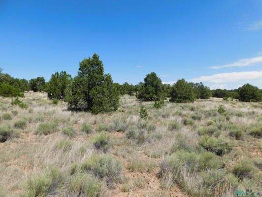 LOT 12 PINION TRAILS, PIE TOWN, NM 87827, photo 5 of 26