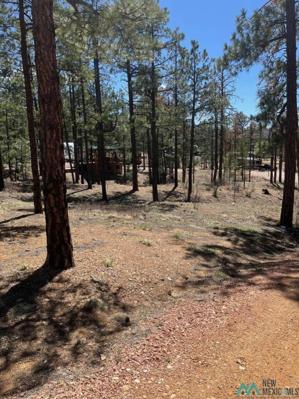 86 CLUB HOUSE DR, ROCIADA, NM 87742, photo 1 of 4