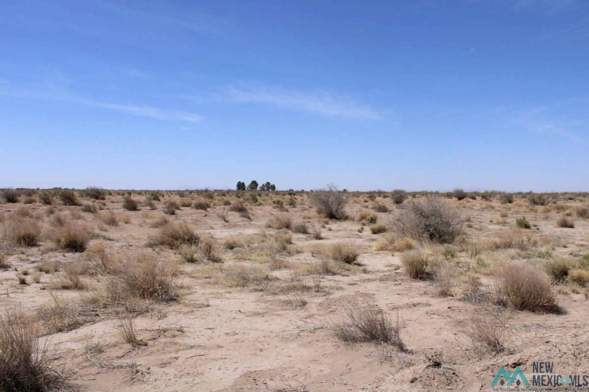 ROJA RD SW, DEMING NM 88030, DEMING, NM 88030, photo 1 of 10