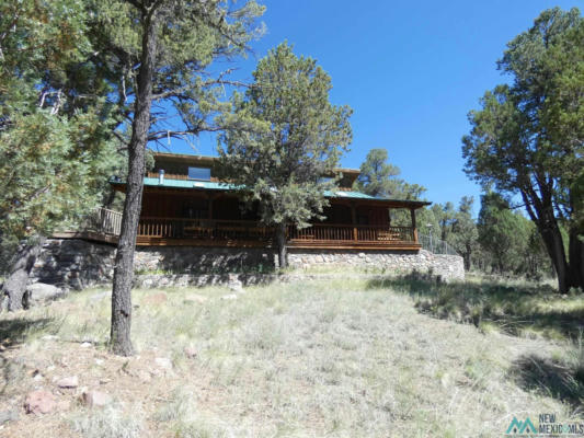287 COONEY ROAD, MIMBRES, NM 88049 - Image 1