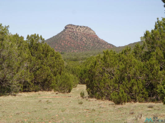 TR 2B CAMINO DEL SOL ROAD, BERNAL, NM 87569 - Image 1