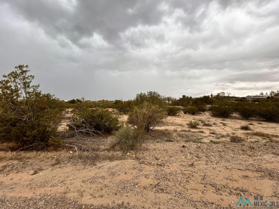 LOT 825 LAKESHORE HIGHLANDS, ELEPHANT BUTTE, NM 87935, photo 1 of 4