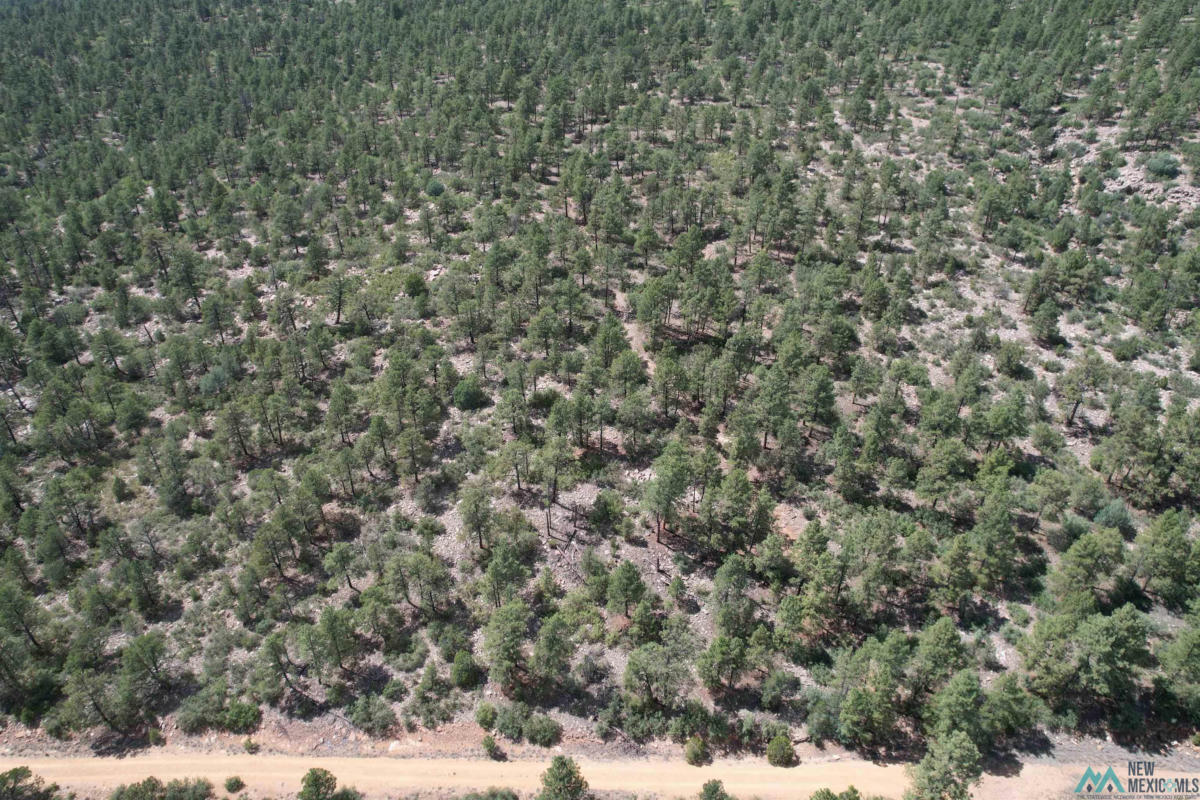 LOT N LA RAMA ROAD CR013, GOLONDRINAS, NM 87712, photo 1 of 4