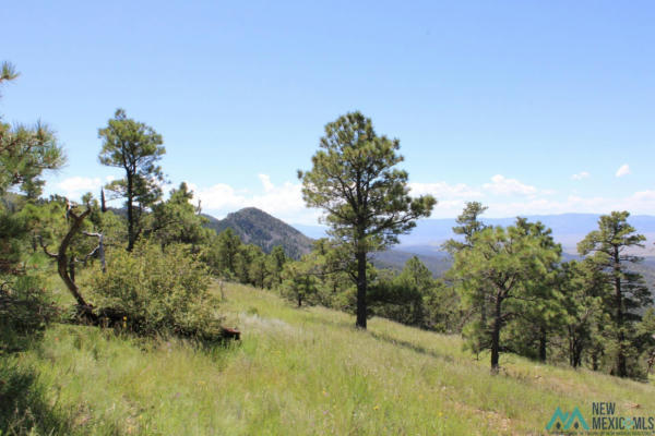 MAGDALENA MT MAGDALENA MOUNTAIN TOP, MAGDALENA, NM 87825, photo 3 of 12