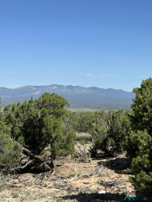 10 SAN MIGUEL TRL, MOUNTAINAIR, NM 87036 - Image 1