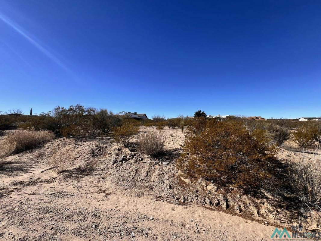 204 ONTARIO DR, ELEPHANT BUTTE, NM 87935, photo 1 of 6