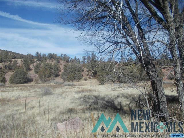 LOT 2A HWY 15 HIGHWAY, LAKE ROBERTS, NM 88049, photo 1 of 3