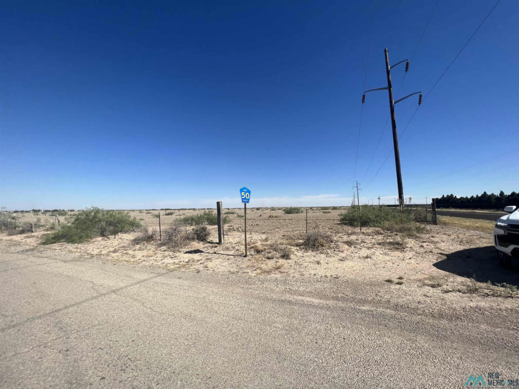 S OF 28 W BLEVINS ROAD, ARTESIA, NM 88210, photo 1 of 8
